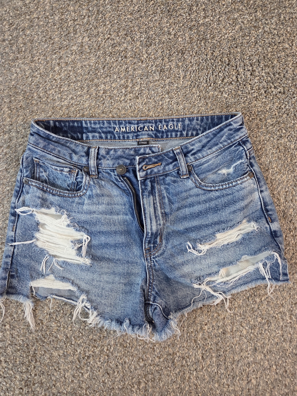American Eagle Outfitters Distressed Light Blue Denim Jean Shorts